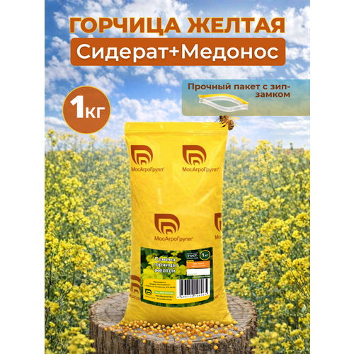 фото Семена желтой мосагрогрупп 1кг сидерат и медонос однолетние