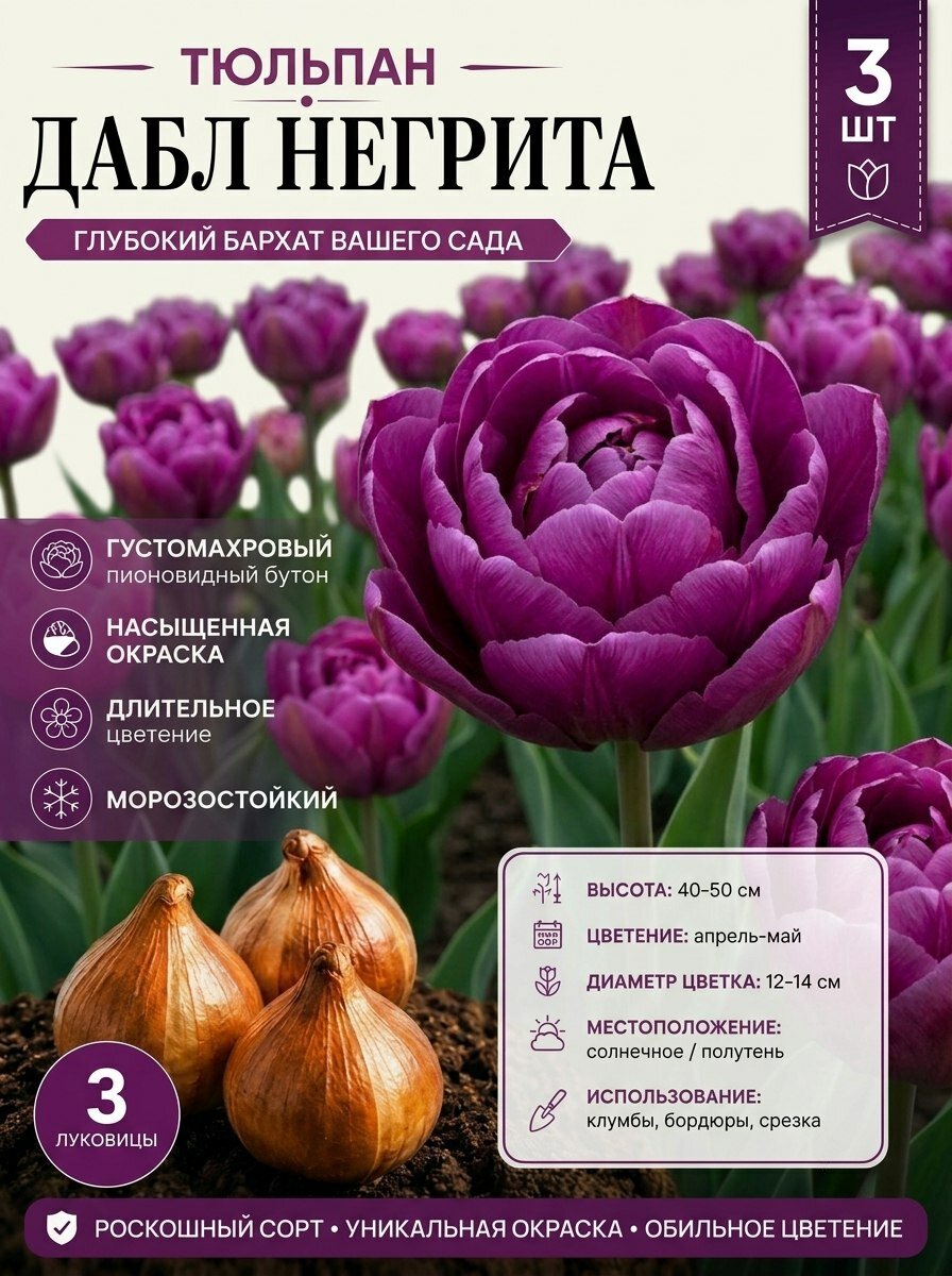 Тюльпаны луковицы Дабл Негрита 3шт