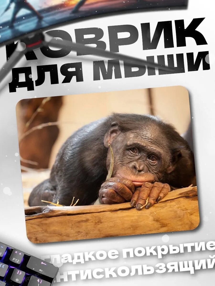Коврик для мыши Грустная обезьяна