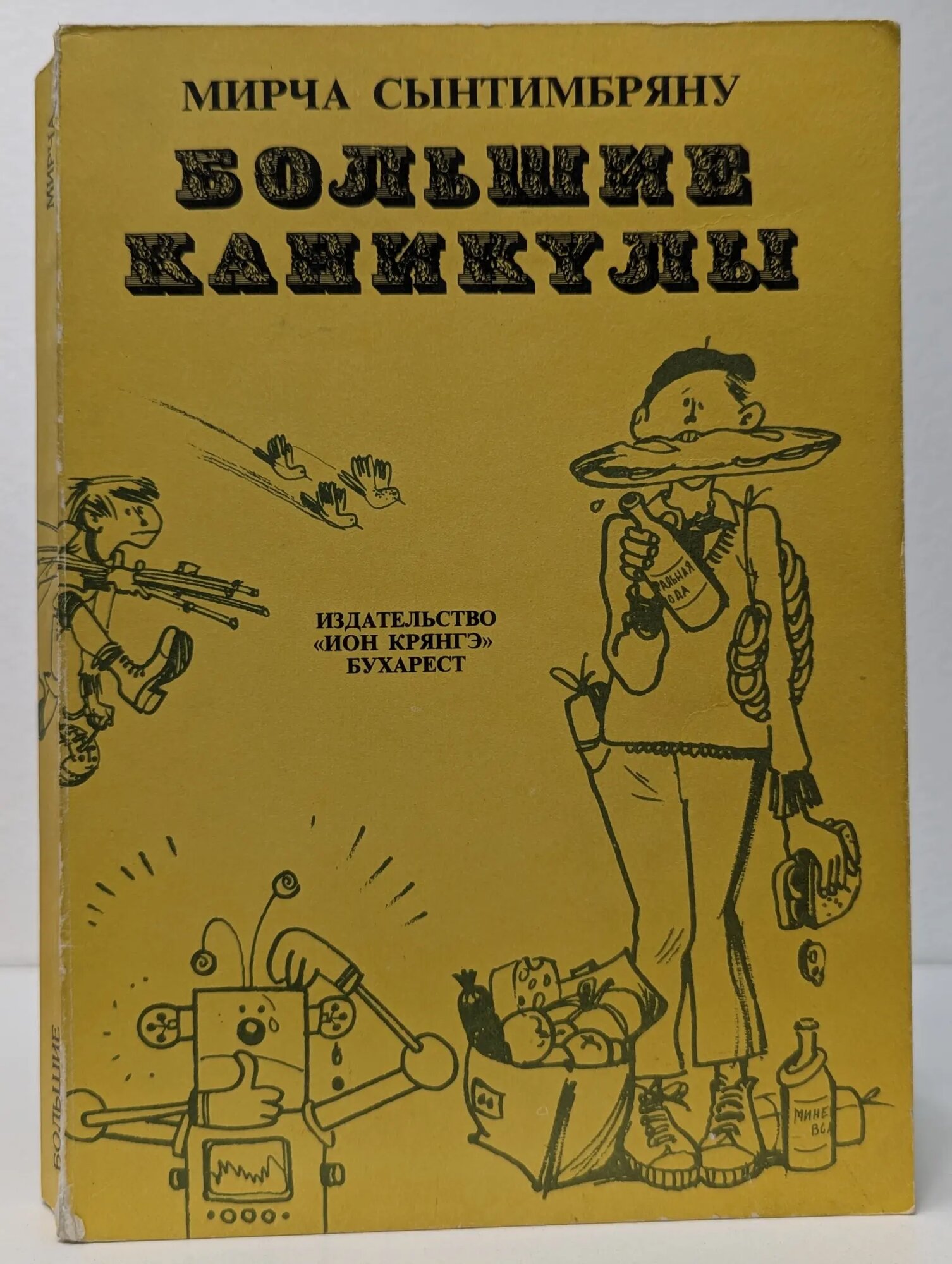 Большие каникулы Сынтимбряну Мирча 1977