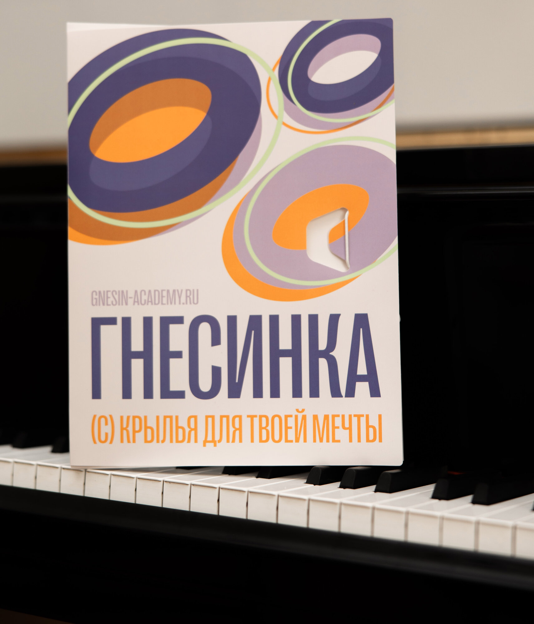 Папка пластиковая РАМ имени Гнесиных, официальный мерч, бежевая