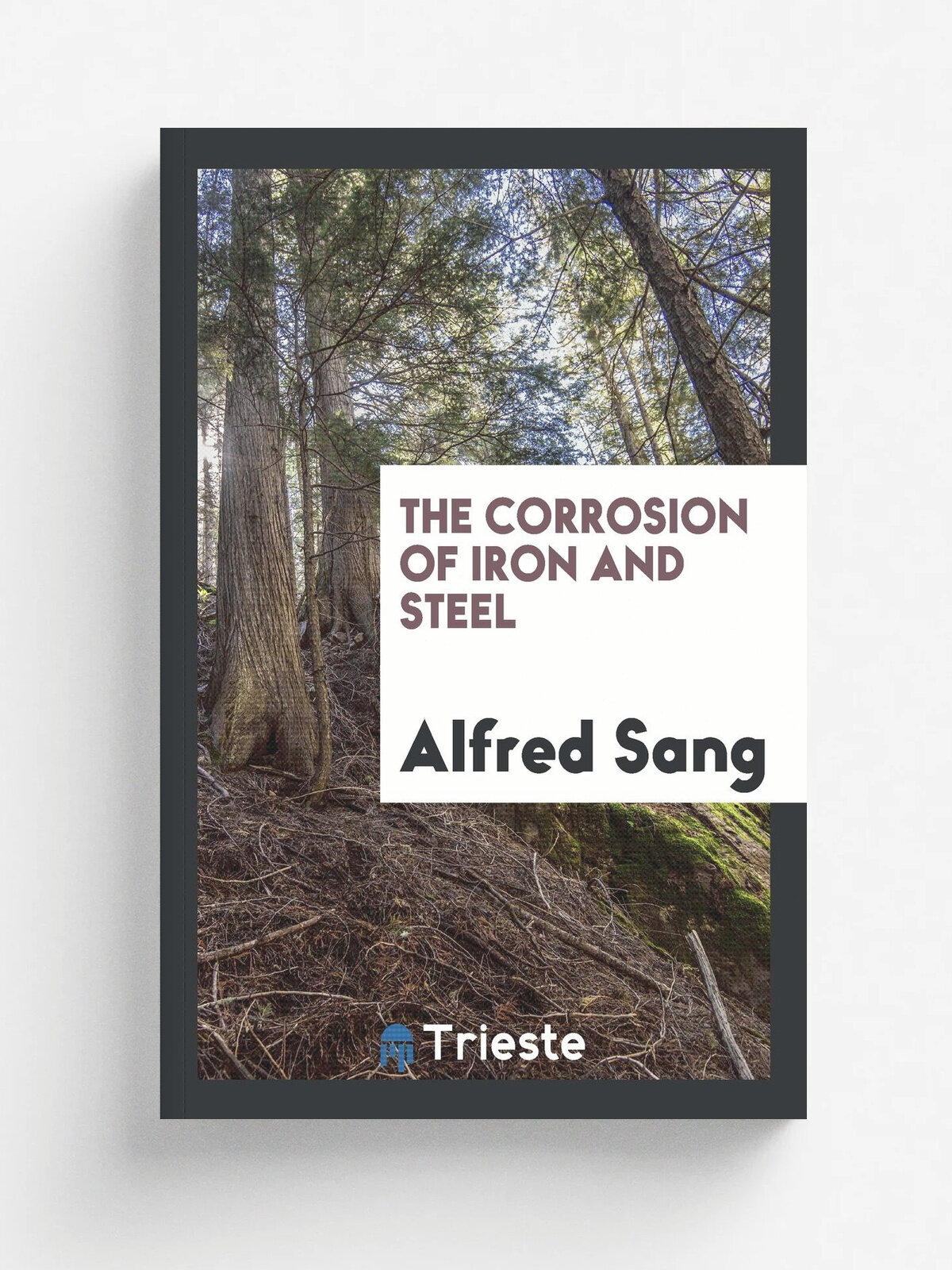 The Corrosion of Iron and Steel