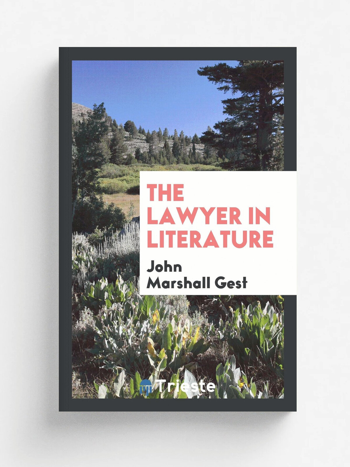 The lawyer in literature