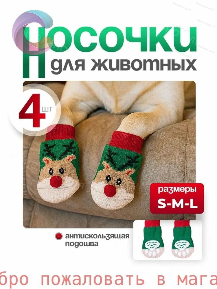 Одежда для животных