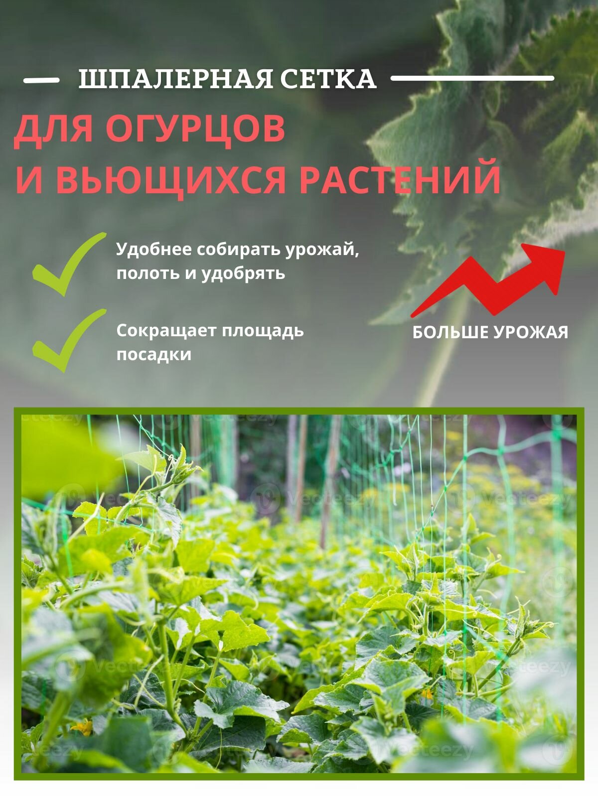 Сетка шпалерная 2 х 15 м — фото 1