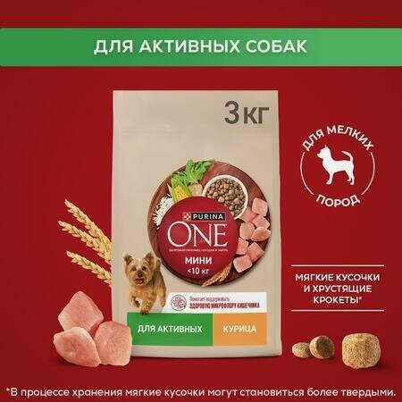 Изображение товара Purina ONE мини 3 кг сухой корм для собак мелких пород с активным образом жизни, с высоким содержанием курицы и с рисом