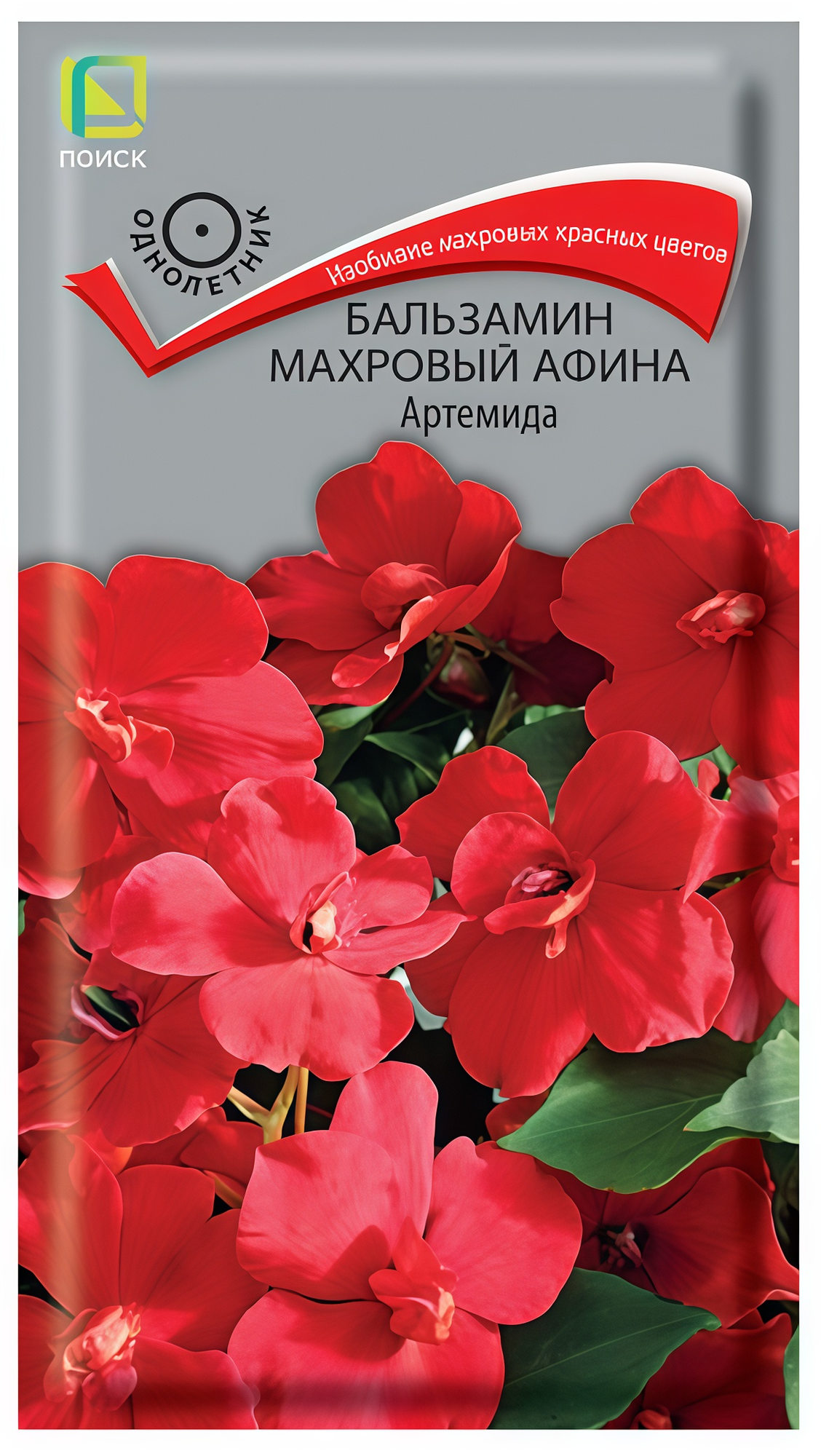 Семена бальзамина махрового "Афина Артемида", однолетник, 5шт