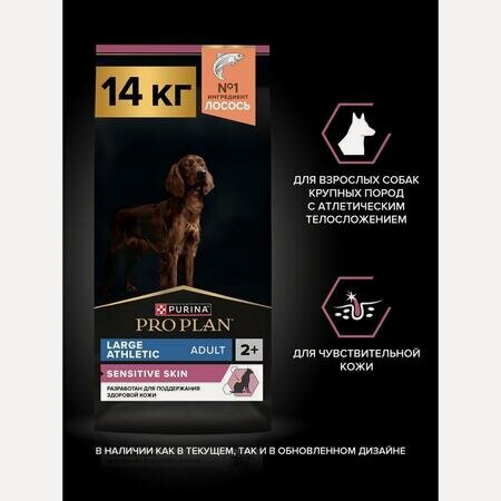 Изображение товара PRO PLAN SENSITIVE SKIN 14 кг сухой корм для взрослых собак крупных пород с атлетическим телосложением с чувствительной кожей, с высоким содержанием лосося