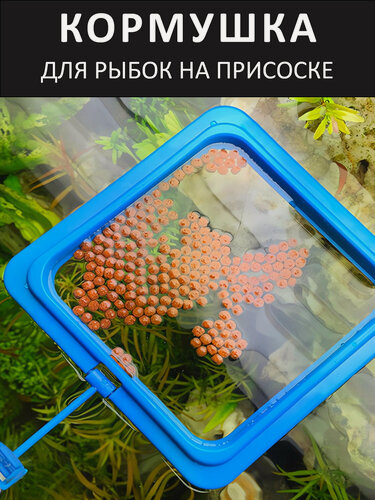 Изображение товара Кормушка для рыбок "На присоске", квадратной формы, светло-синяя, 10 см x 10 см