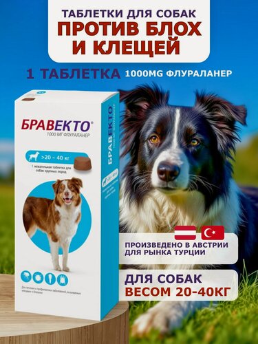 Изображение товара Бравекто для собак 20-40 кг таблетка, таблетки от блох и клещей для собак срок годности до 27 года