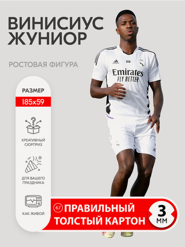 Изображение товара Аксессуар для фотосессий, Винисиус Жуниор, футбол, ростовая фигура