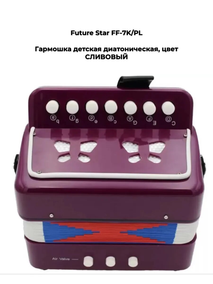 Гармошка Future Star FF-7K/PL сливовый