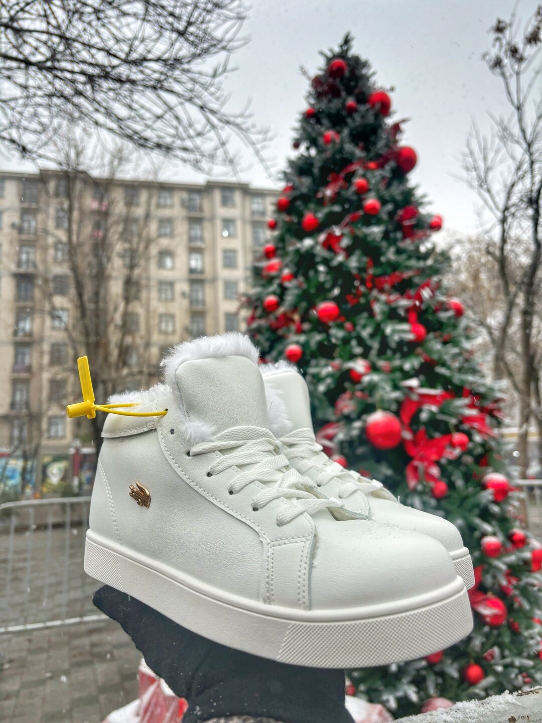 Кроссовки lacoste