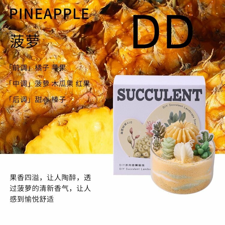 Ароматическая свеча-суккулент, комнатное растение с ароматом. DD