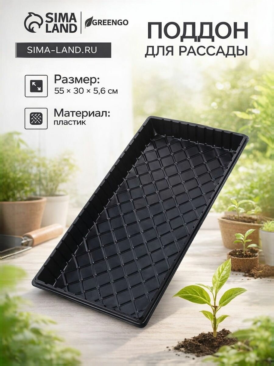 Поддон для рассады и цветов 55х30 см