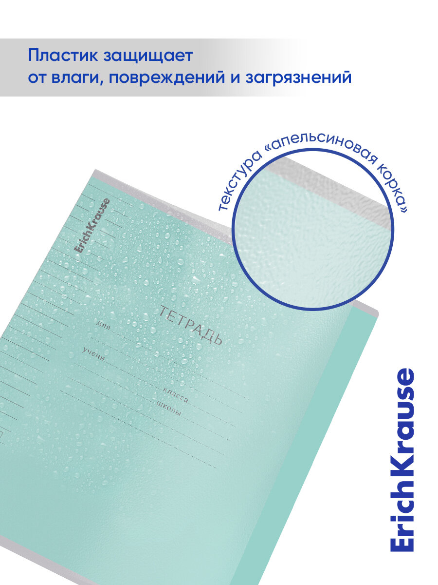 Тетрадь школьная ученическая с пластиковой обложкой на скобе ErichKrause Классика CoverPrо fizzy, бирюзовая, А5+, 12 листов, линейка — фото 8