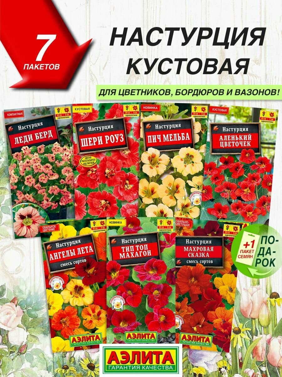 Семена цветов Аэлита Настурция кустовая 7 сортов   Семена Настурции