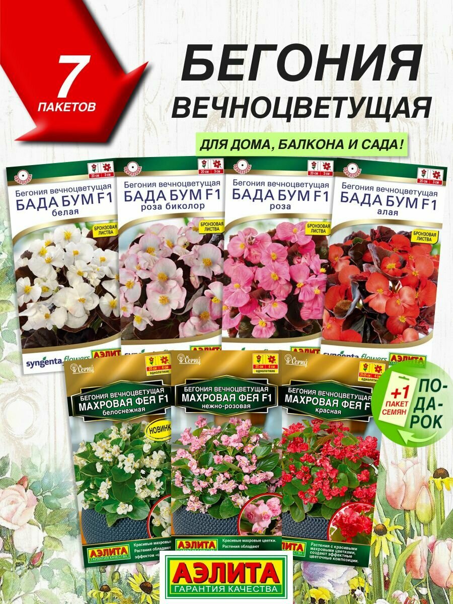 Семена цветов Аэлита Бегония вечноцветущая 7 сортов / Семена Бегонии