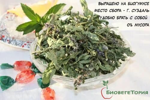 Мята сушеная для чая ментоловая Душистая на развес 25 г  БиовегеТория