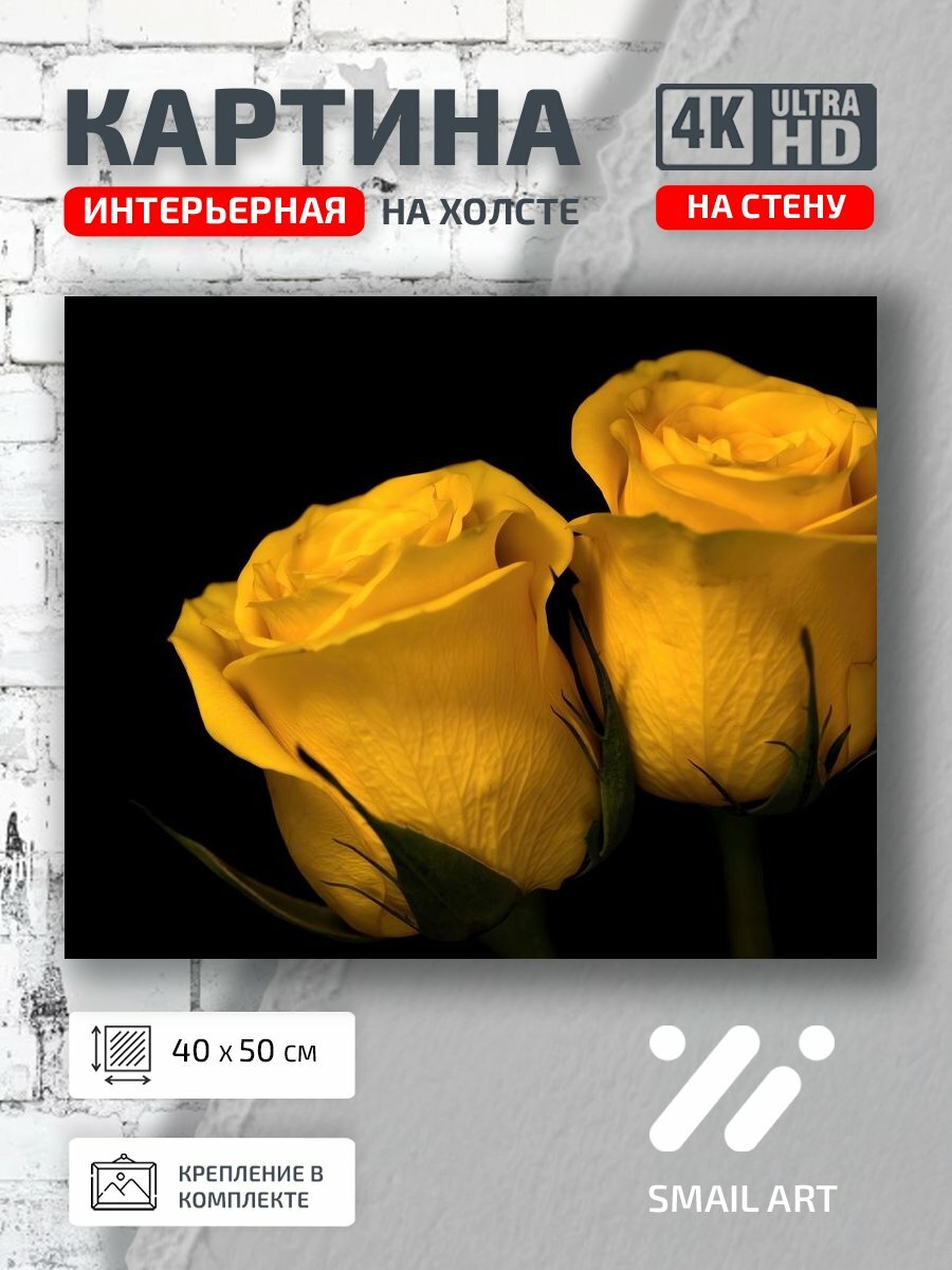 Картина на холсте интерьерная 40 на 50 на стену Бутоны Mood для спальни атмосфера интерьер