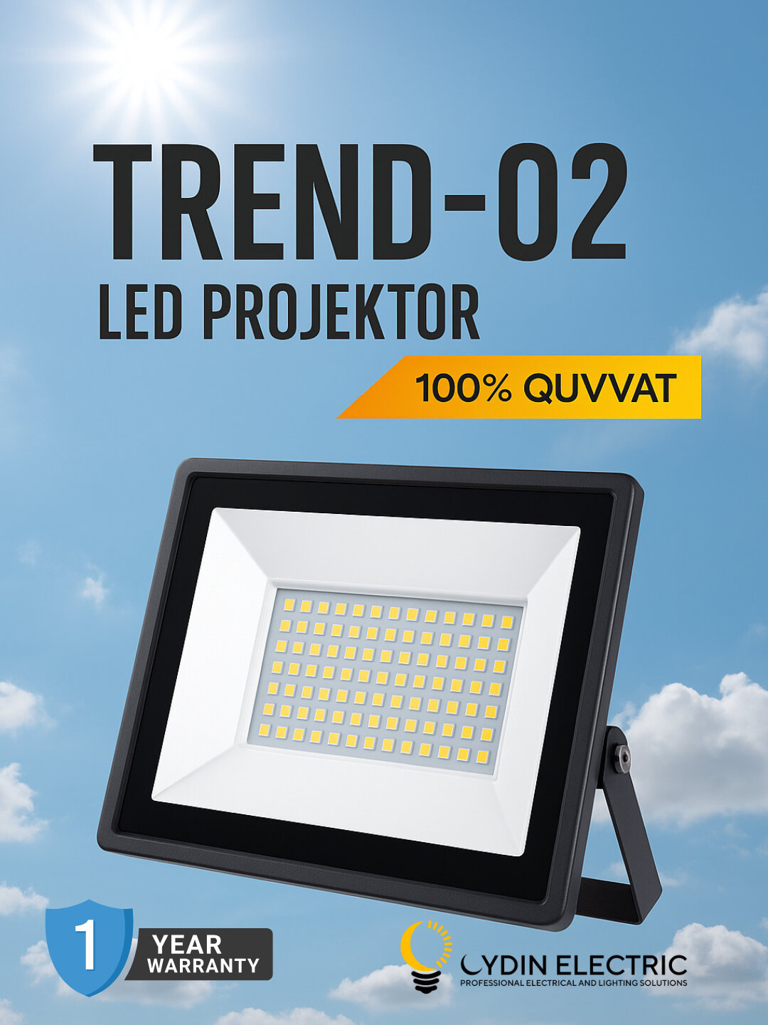 LED, Прожектор, OYDIN ELECTRIC, 10W–200V, IP65, 110-250V яркость, энергоэффективный