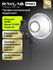 Осветитель светодиодный Raylab RL-100 Sunlight 5600K