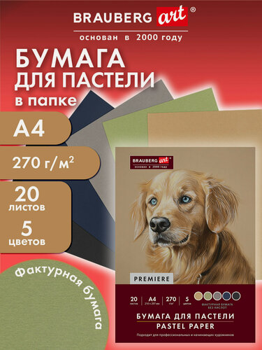 Изображение товара Бумага для пастели, для рисования художественная цветная фактурная A4, набор 20 листов 5 цветов, Brauberg Art, 117755
