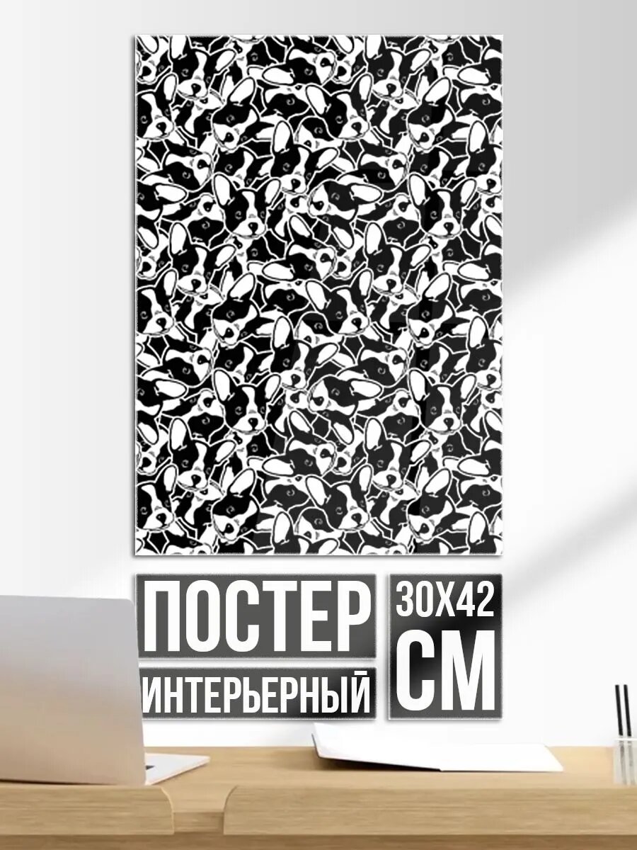 Постер на стену Щенки Французского Бульдога
