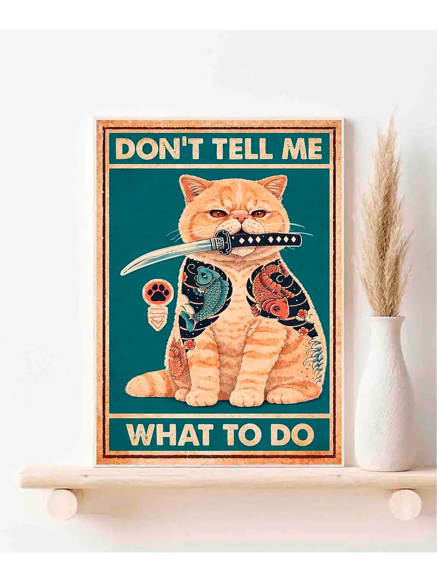 Экзотическая короткошёрстная кошка, Don't Tell Me What To D