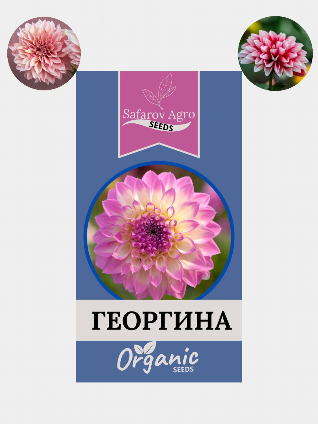 Семена цветов Цинния, Портулак, Гвоздика, Клеома, Георгина. Сальвия, семя