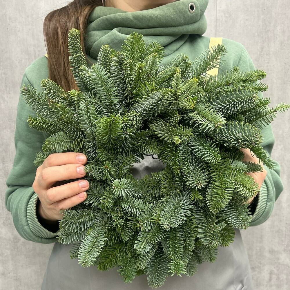 Венок новогодний из Живой хвои нобилиса без декора диаметром 25 см