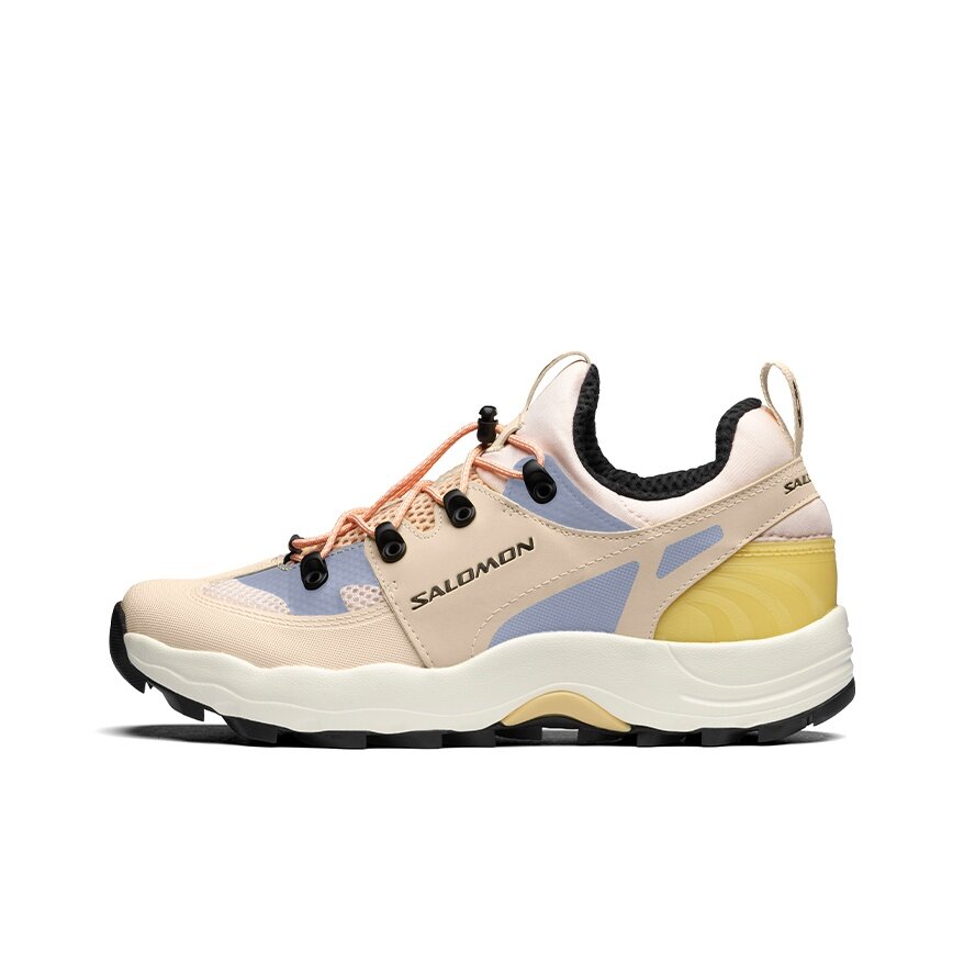Ботинки Salomon Raid Wind
