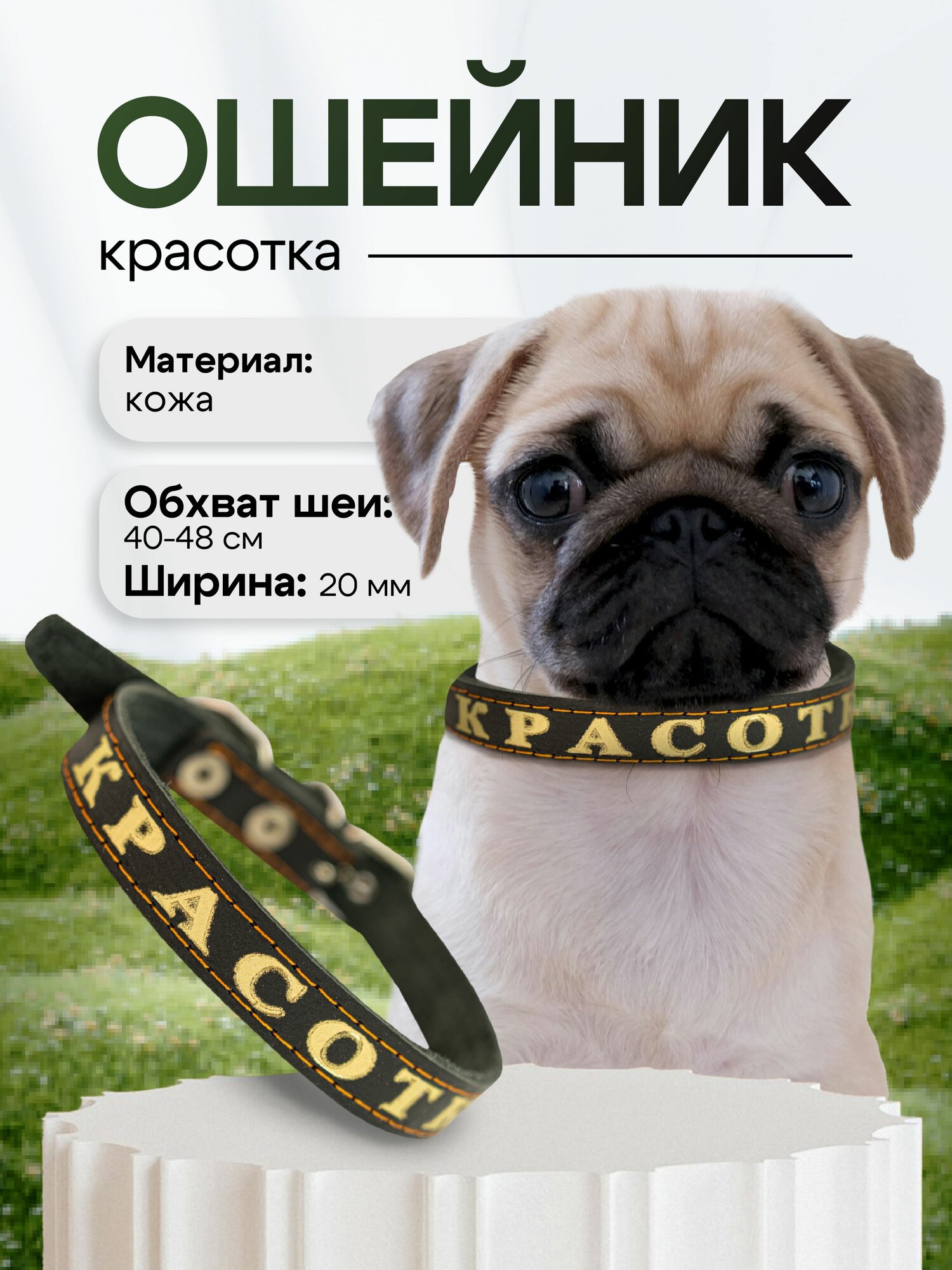 Кожаный ошейник для собак с надписью "Красотка", черный, 40-48 см, ширина 2 см