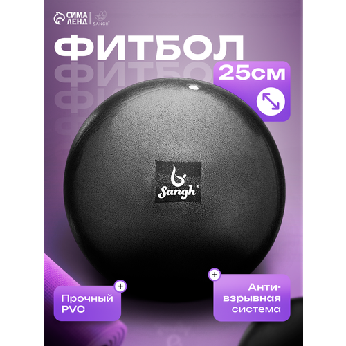 Мяч для йоги и пилатеса Sangh, размер 25 см, 100 гр, цвет черный