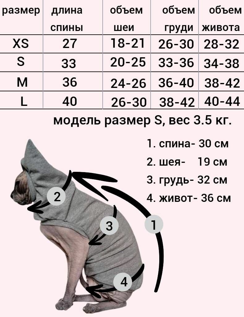 Одежда для животных — фото 1