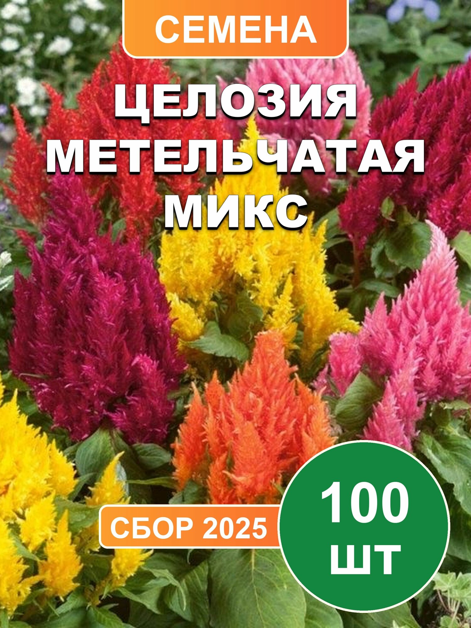 Целозия метельчатая микс семена для посадки, 100шт