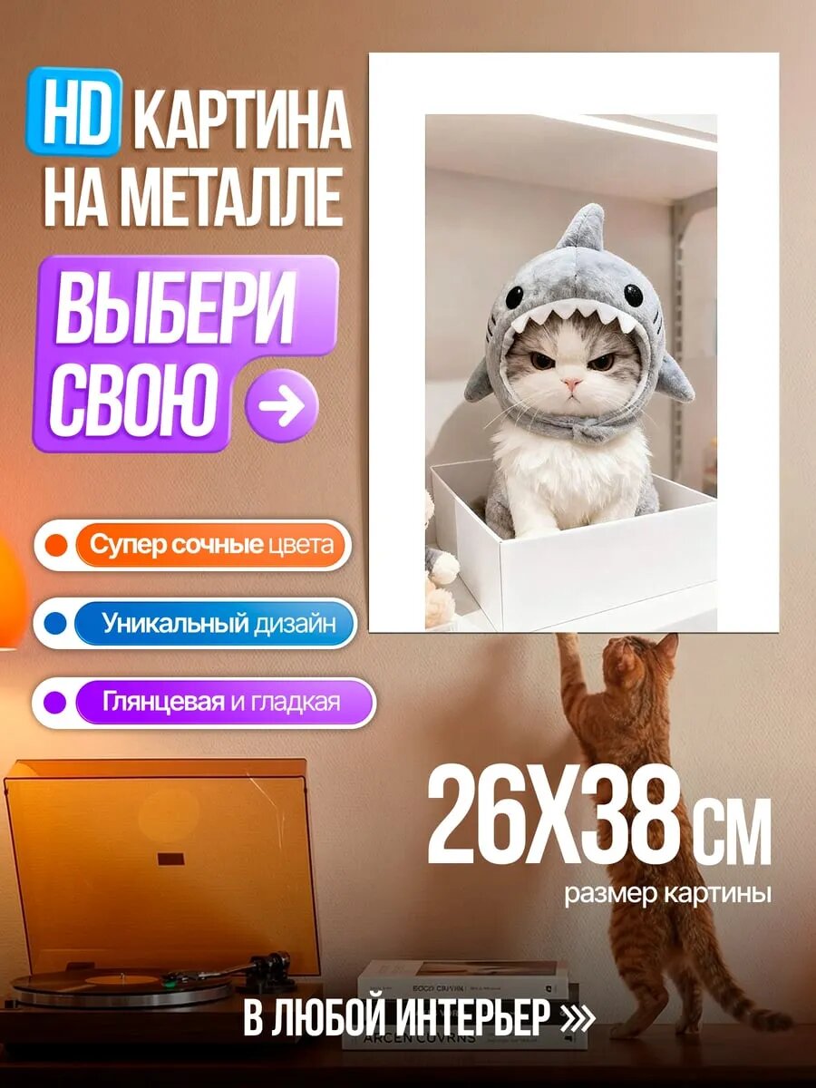 Картина на HD металле Кот в шапке акулы