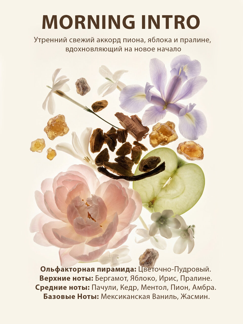 Парфюмированный увлажняющий крем для тела и рук и ног с дозатором MORNING INTRO — фото 1