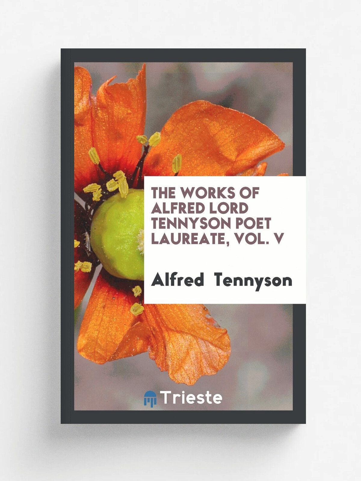 The works of Alfred Lord Tennyson poet laureate, Vol. V