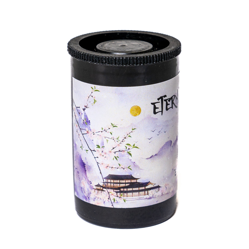 Фотопленка SFL Eterna 400T, 135 формат, 36 кадров — фото 1