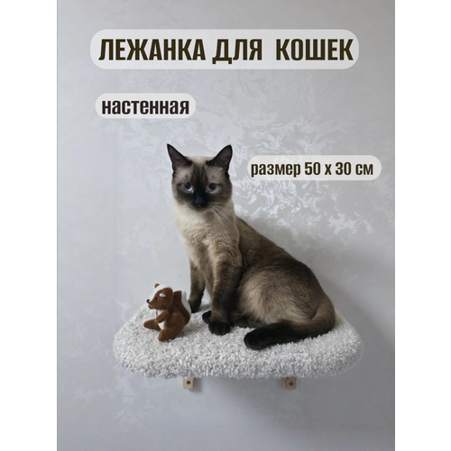 фото Лежанка для кошек, моя котя, настенная, ковролин белый, ковролин белый, 50х30 см