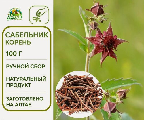 Изображение товара Сабельник болотный корень, резанный 30-40 мм, АлтайМир, 100 г