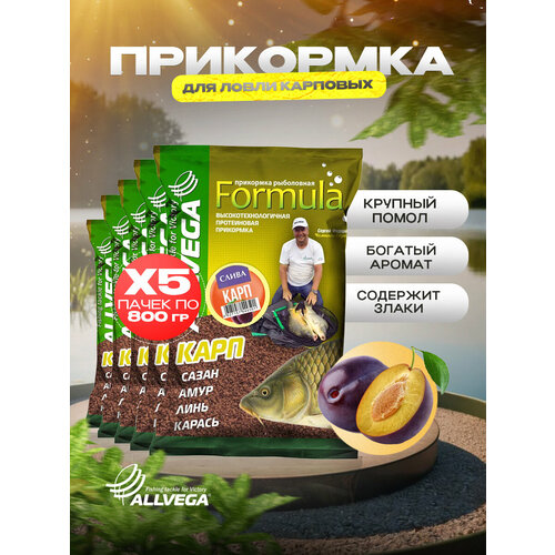 ALLVEGA Formula Carp GBF09, 4500 г, 5 шт., слива
