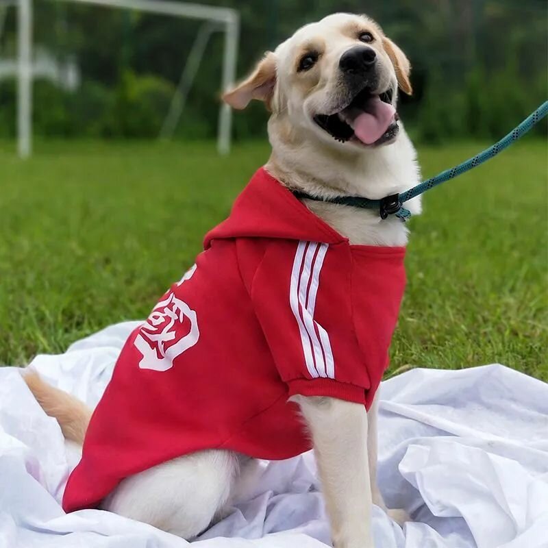 Свитер для собак  шерстяная подкладка  три цвета  размер XS 10XL  подходит всех пород   красный XL