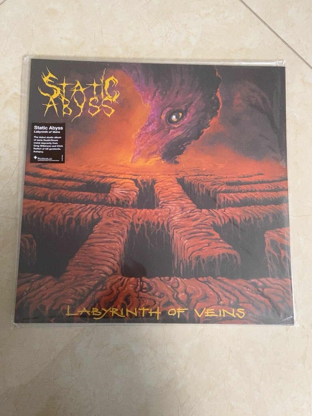 Виниловая пластинка static abyss labyrinth of veils, LP