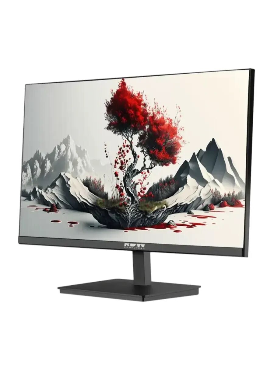 Монитор RDW Computers 23.8" RDW2401K IPS 4ms 350cd 178гр 1920x1080, 100Hz