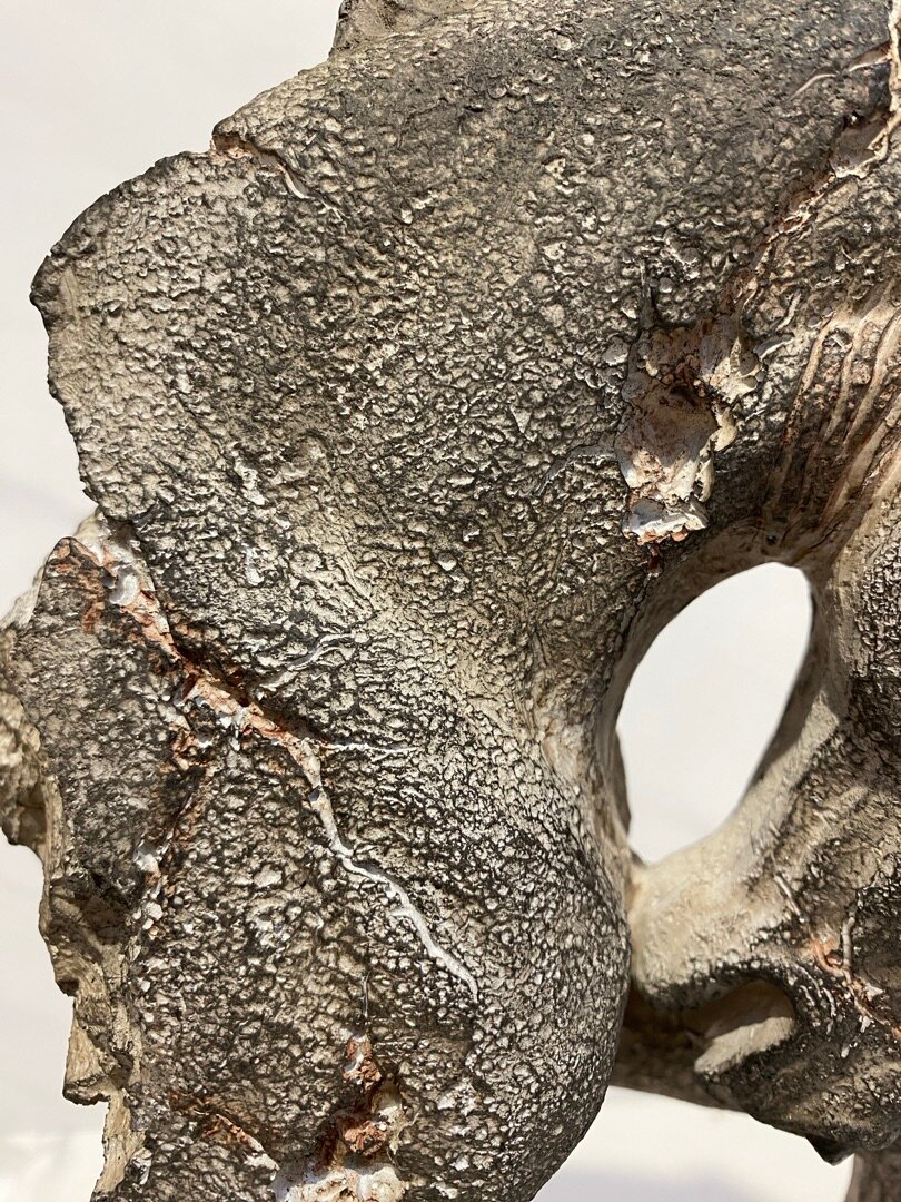 Статуэтка Лошадь серый Casaentera 28х12х43 см CE03-6PR2652