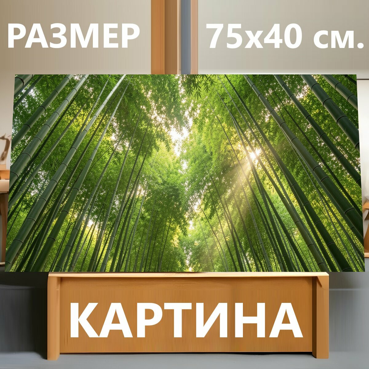 Картина на холсте "Бамбуковая роща с солнечными лучами. Высокие стволы бамбука образуют зеленый тоннель, сквозь густую листву пробивается." на подрамнике 75х40 см. для интерьера