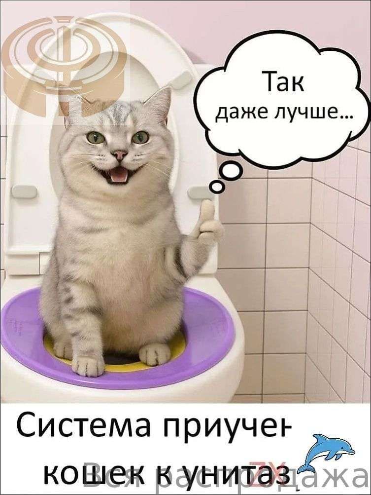 CHUZX02Система приучения кошек к унитазу, лоток на унитаз для кота