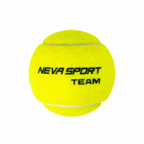 Мячи для большого тенниса NS Team X3 124009, упаковка 3 мяча, желтый мячи для большого тенниса ns team x3 124009 упаковка 3 мяча желтый